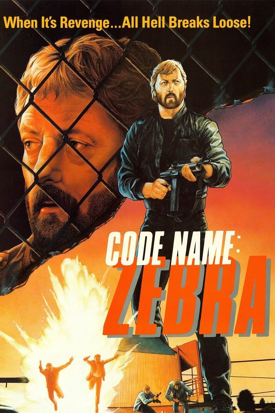 Постер Code Name: Zebra